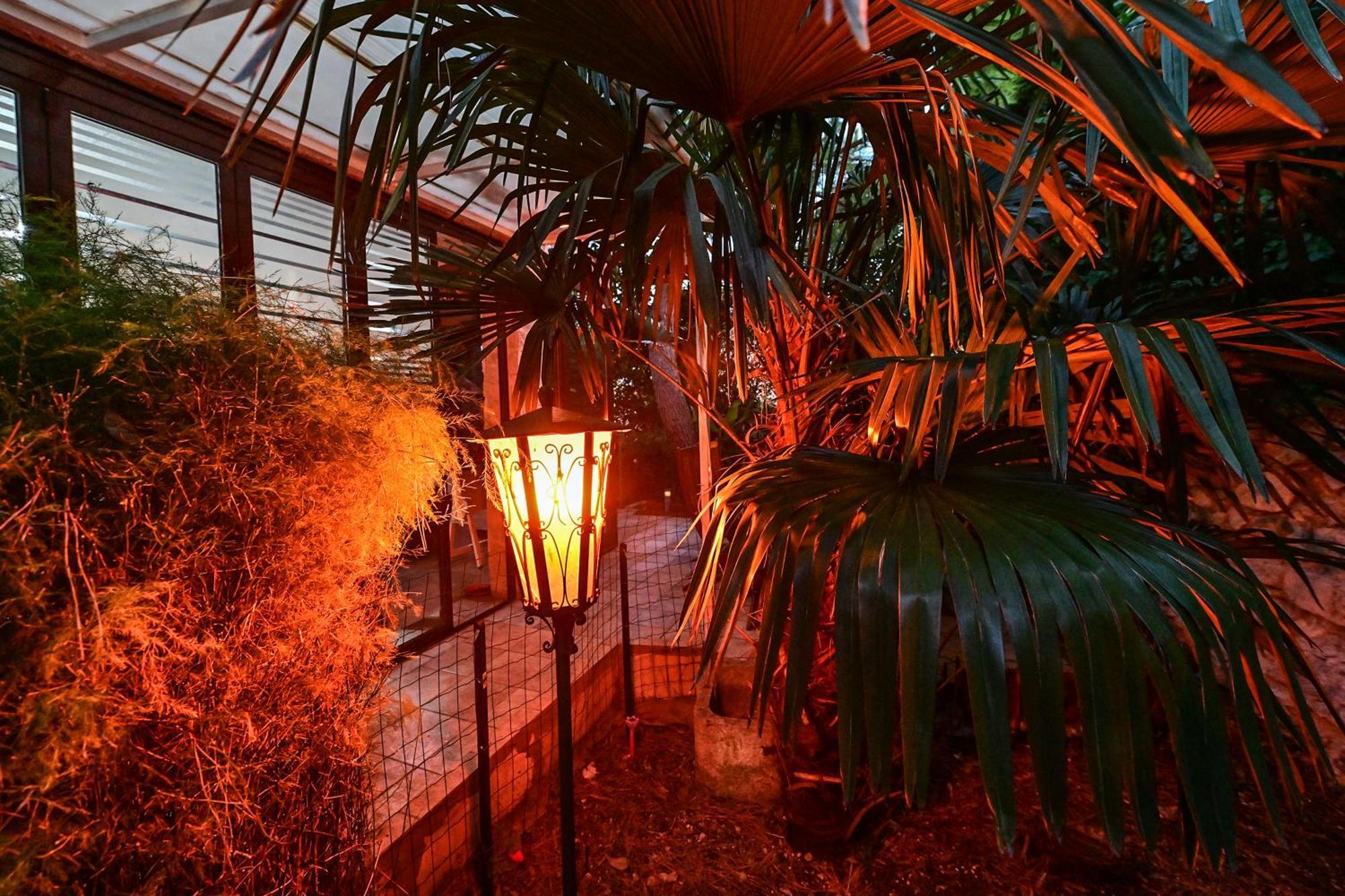 Bohemian Rhapsody Apartment Rovinj Ngoại thất bức ảnh